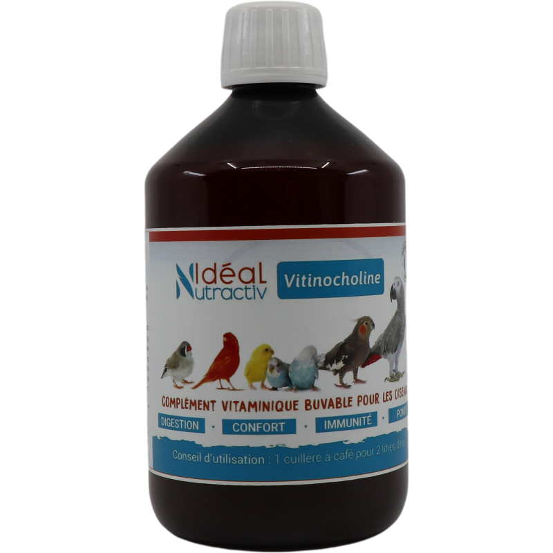 Vitinocholine Liquide 500ml - Idéal Nutricare