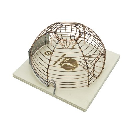 Trap - Dome in mice 34507 Kinlys 7,55 € Ornibird