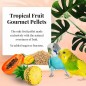 Tropical Fruit Gourmet Pellets Perruche 567gr - Lafeber's