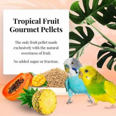 Tropical Fruit Gourmet Pellets Perruche 1,8kg - Lafeber's à 37,95 € - Lafeber's - LF52632 - Perruches