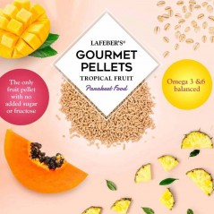 Pellets gourmands aux fruits tropicaux Cockatiel 567gr - Lafeber's à 13,95 € - Lafeber's - LF52640 - Grandes Perruches