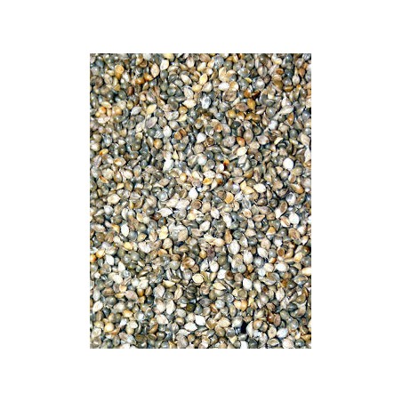 Millet Japonais 15kg