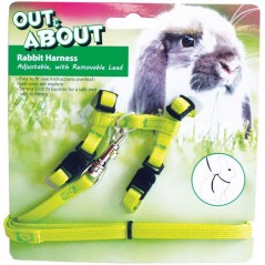 Ensemble Harnais & Laisse Lapin - Vert à 7,35 € - Happy Pet - HP10852 - Harnais