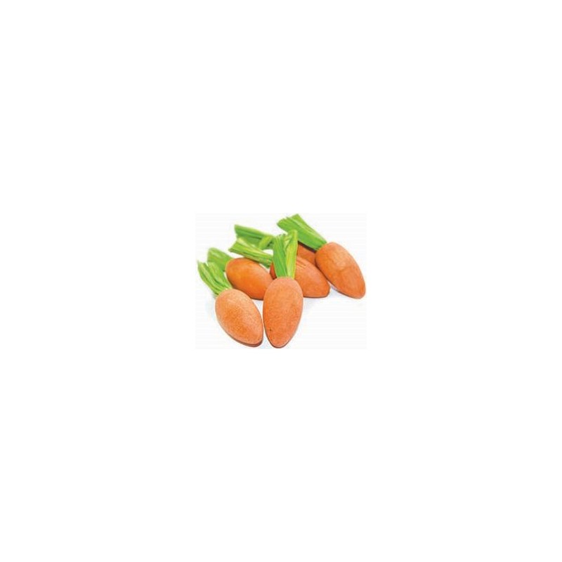 Grignoteuses de carottes 6pcs