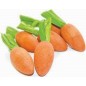 Grignoteuses de carottes 6pcs