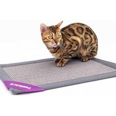 Mastermat 60 Gris/60x40cm - Petrebels à 25,20 € - Petrebels - 431442 - Arbre à chat & griffoir