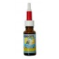 Golden Eye (eye drops) 20ml - Herbots