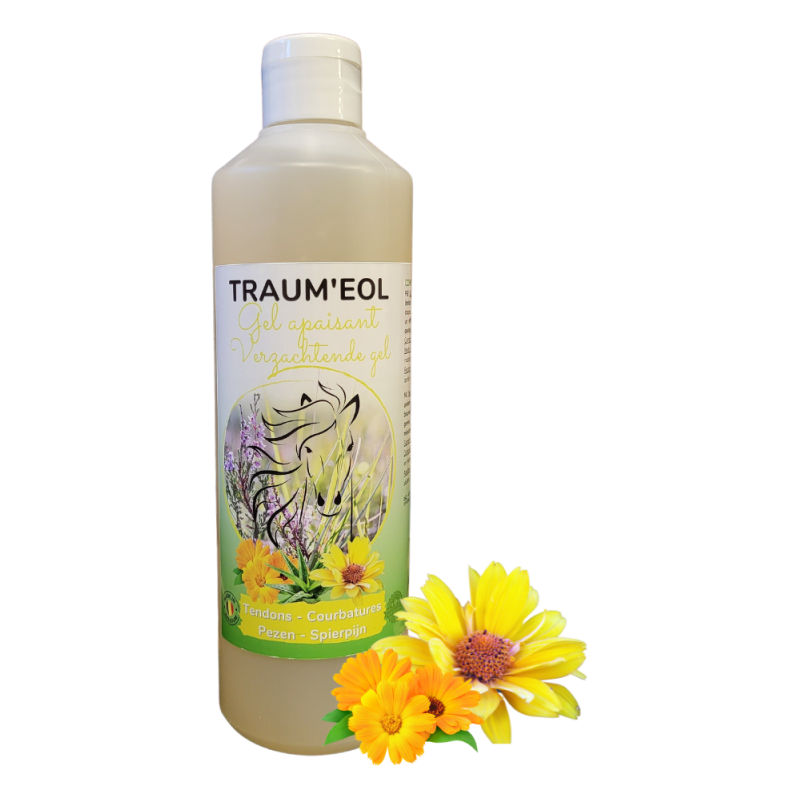 Traum'eol Gel apaisant pour les membres et les muscles, non gras 2,5L - Essence of Life