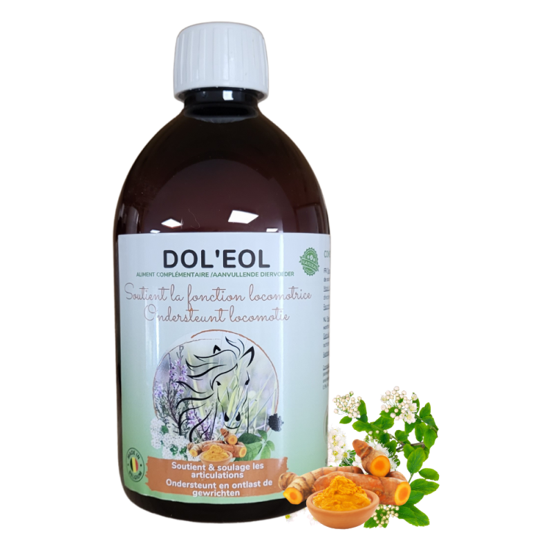 Dol'eol Soutien des articulations et des fonctions locomotrices 500ml - Essence of Life