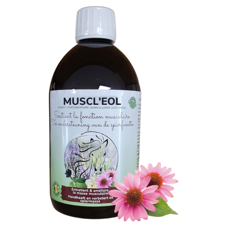 Muscl'eol Soutient la fonction musculaire 5L - Essence of Life