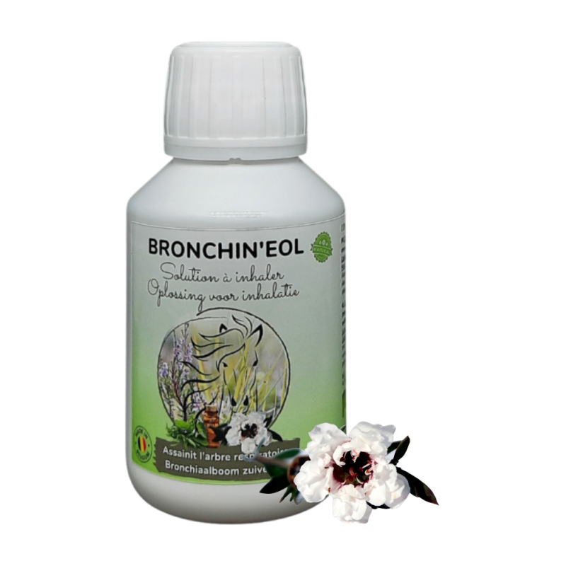 Bronchin'eol Solution à inhaler 500ml + 50x cotons bio - Essence of Life