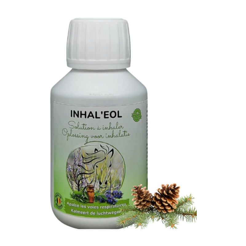 Inhal'eol Solution à inhaler 500ml + 50x cotons bio - Essence of Life