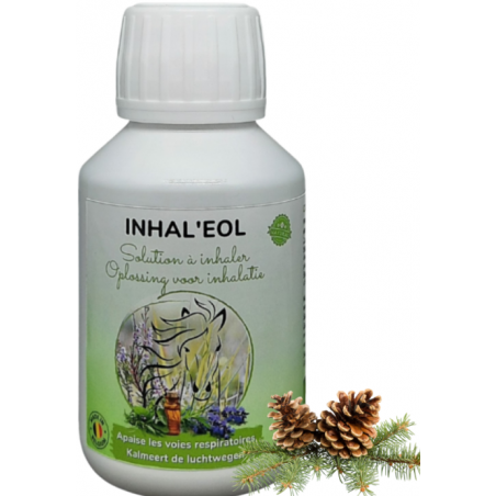 Inhal'eol Solution à inhaler 500ml + 50x cotons bio - Essence of Life à 86,50 € - Essence Of Life - CHEV-1310 - Vitamines et ...