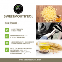 Sweetmouth'eol Baume pour les commissures 100gr - Essence of Life à 26,90 € - Essence Of Life - CHEV-1321 - Soins