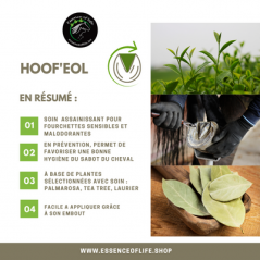 Hoof'eol Gel de soin pour les fourchettes 100ml - Essence of Life à 17,90 € - Essence Of Life - CHEV-1327 - Soins