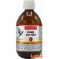 Vitamine A-D3-E Punch 250ml - Winners