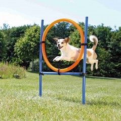 Anneau Fun Agility 115x3x65cm - Trixie à 30,00 € - Trixie - 3208 - Agilité