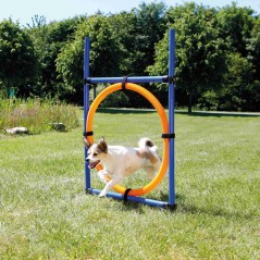 Anneau Fun Agility 115x3x65cm - Trixie à 30,00 € - Trixie - 3208 - Agilité