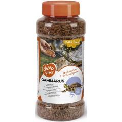 Gammarus 1L - Duvo+ à 18,95 € - Duvo + - 12989 - Tortue