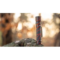 Olight Warrior Mini 2 - Lampe Torche Autodéfense EDC 1750 Lumens à 107,95 € - Olight - WARRIOR-MINI-2 - Lampes