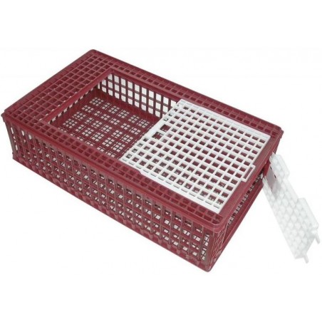 Cage en plastique transport pour poulets 95,5x57x32,5cm - River Systems à 74,50 € - River Systems - 1521-01 - Divers