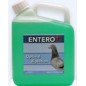 Entero (acid - digestion) 2.5 L - Orthophar Pigeon - Pharmacy Finney & Dr. Vanneste