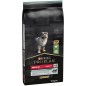 Puppy Medium Sensitive Digestion - Riche en agneau 12kg - Pro Plan 12366981 Purina 74,50 € Ornibird