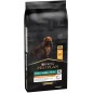 Adult Small & Mini Everyday Nutrition - Riche en poulet 14kg - Pro Plan 12377391 Purina 79,90 € Ornibird