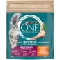 Bifensis Urinary Care - Riche en poulet et au blé 800gr - One