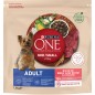 Mini -10kg Adult - Riche en boeuf avec du riz 1,5kg - One 12418136 Purina 9,00 € Ornibird