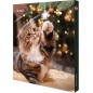 Xmas Calendrier de l'Avent PREMIO Chat 30x34x3,5cm - Trixie 9264 Trixie 8,00 € Ornibird