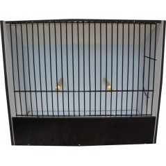 Cage exposition indigène noir 18 cm en PVC à 43,00 € - Ost-Belgium - 87212511 - Cages pour expositions