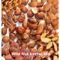 Pure Nuts sans coque 1,5kg - Your Parrot