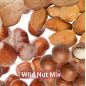 Wild Nuts avec coque 1kg - Your Parrot