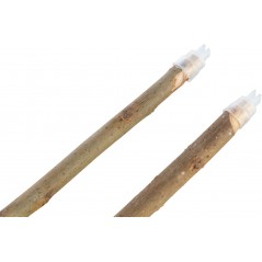 Set de perchoirs en bois d'écorce 45cm/10-12mm - Trixie à 3,50 € - Trixie - 58748 - Perchoirs