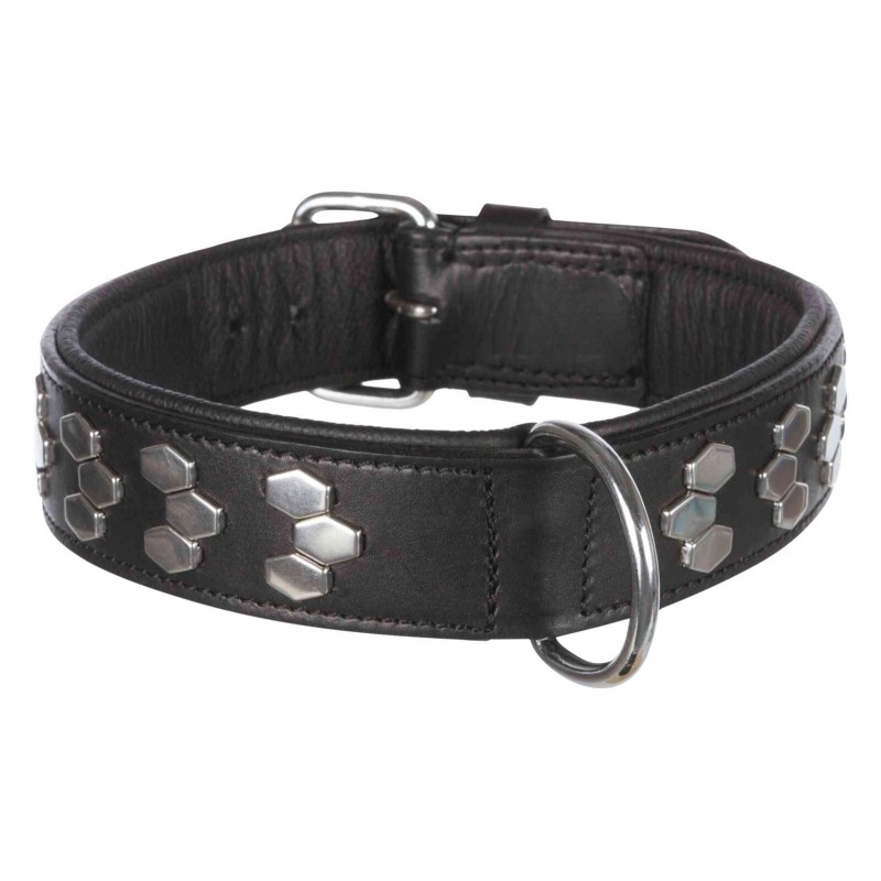 Active Collier M 38-45cm/40mm Noir - Trixie