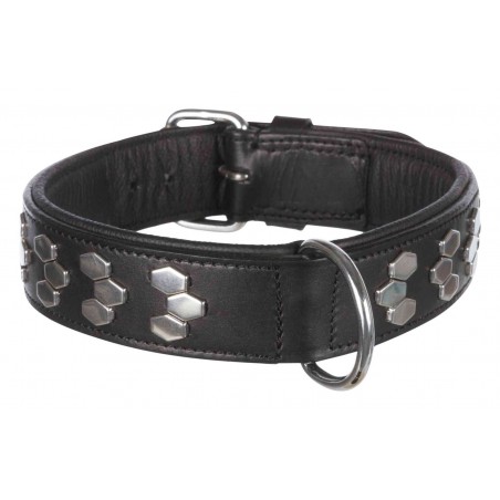 Active Collier L 45-55cm/40mm Noir - Trixie