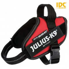 Harnais Power Julius-K9 Baby2 XS/Mini-Mini 40-53cm/22mm Rouge - Julius à 44,95 € - Trixie - 14823 - Harnais