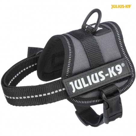 Harnais Power Julius-K9 Baby 1-Mini XS 40-53cm/22mm Anthracite - Julius à 37,95 € - Trixie - 150116 - Harnais