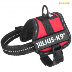 Harnais Power Julius-K9 Baby 1-Mini S 49-67cm/28mm Rouge - Julius à 39,95 € - Trixie - 150203 - Harnais