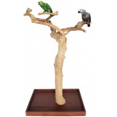 Arbre de java Base 100x60/H 157-170cm - Parrots & Toys à 425,00 € - Vogelhof - Parrots & Toys - java0001 - Perchoirs