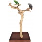 Arbre de java Base 100x60/H 157-170cm - Parrots & Toys