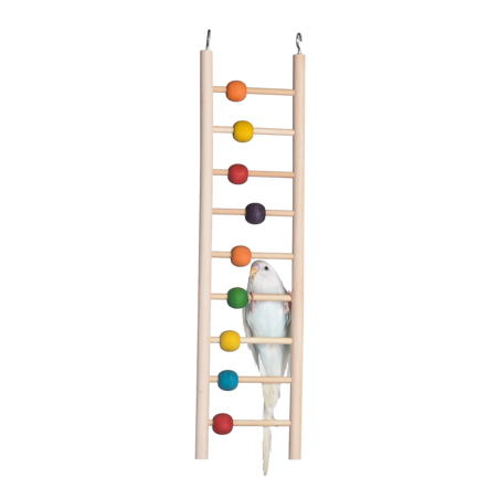 Jouets pour oiseaux échelle en bois 9 perles à 6,95 € - Kinlys - 13932 - Jouets