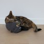 Cat kicking cushion Molly noir 13x14x27cm - Duvo+