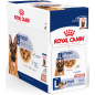 Maxi Adult 10x140gr - Royal Canin