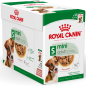 Mini Adult 12x85gr - Royal Canin