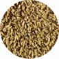 Mélange de graines pour perroquet Napoléon petits perroquets 453gr - Top's Parrot