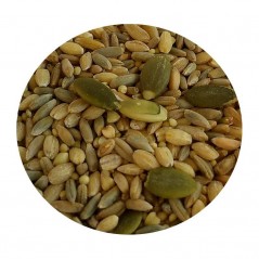 Mélange de graines tout en un M/L perroquets 453gr - Top's Parrot à 9,95 € -  - TP3637 - Perroquets