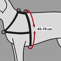 Harnais de dressage Lead'n'Walk Soft S-M 45-70cm/25mm - Trixie 13055 Trixie 24,95 € Ornibird