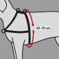 Harnais de dressage Lead'n'Walk Soft S-M 45-70cm/25mm - Trixie